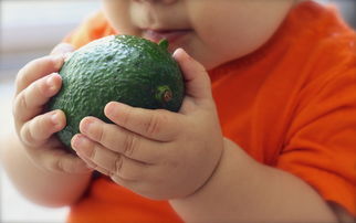 【宝宝辅食添加水果需要加热吗】